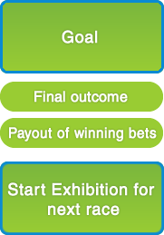 Goal, Final outcome, Payout of winning bets, Start Exhibition for next race