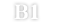 B1